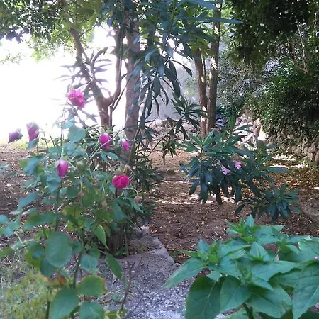 Pag Studio Garden Apartment Pag Town