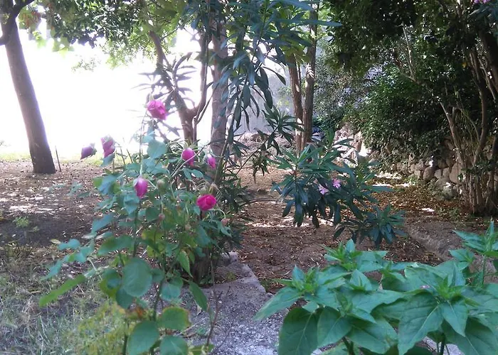 Pag Studio Garden Apartment Pag Town